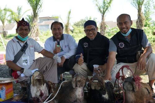 penyembelihan binataang qurban